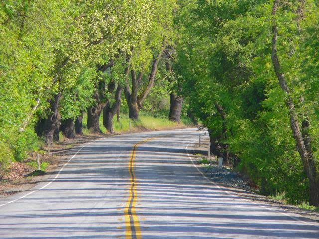 Pleasanton Sunol Road
