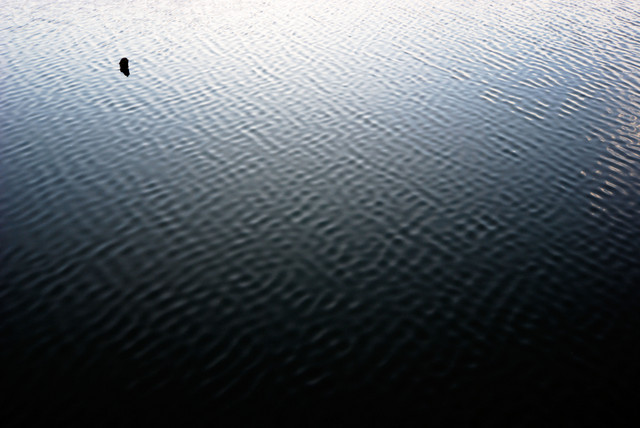 Light on Water with Stump