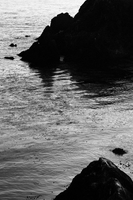 Pacific Coast, Near Lucia