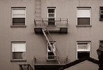Windows and Fire Escape