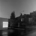 Furniture Store Windows