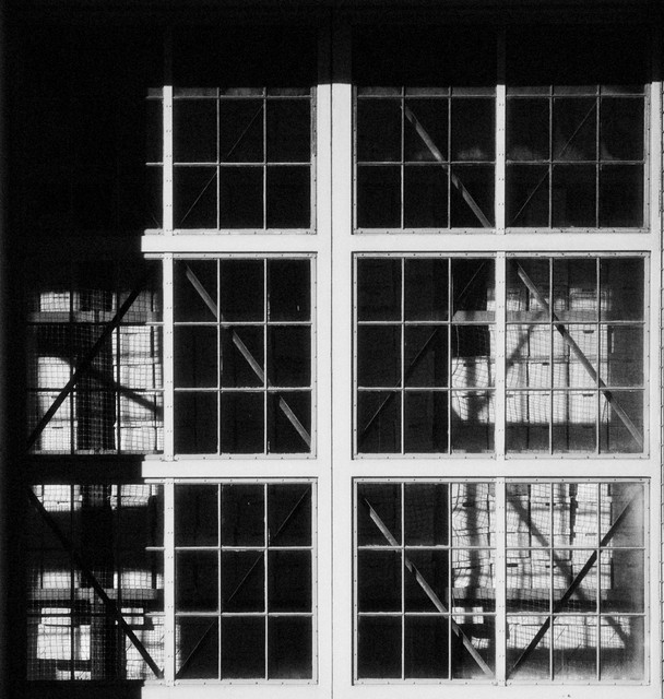 Building with Many Boxes