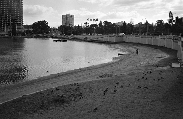 Lake Merritt