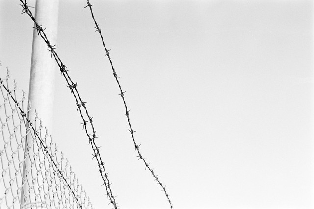 Barbed Wire
