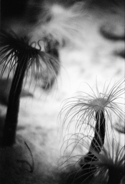 Resting in the Shadows